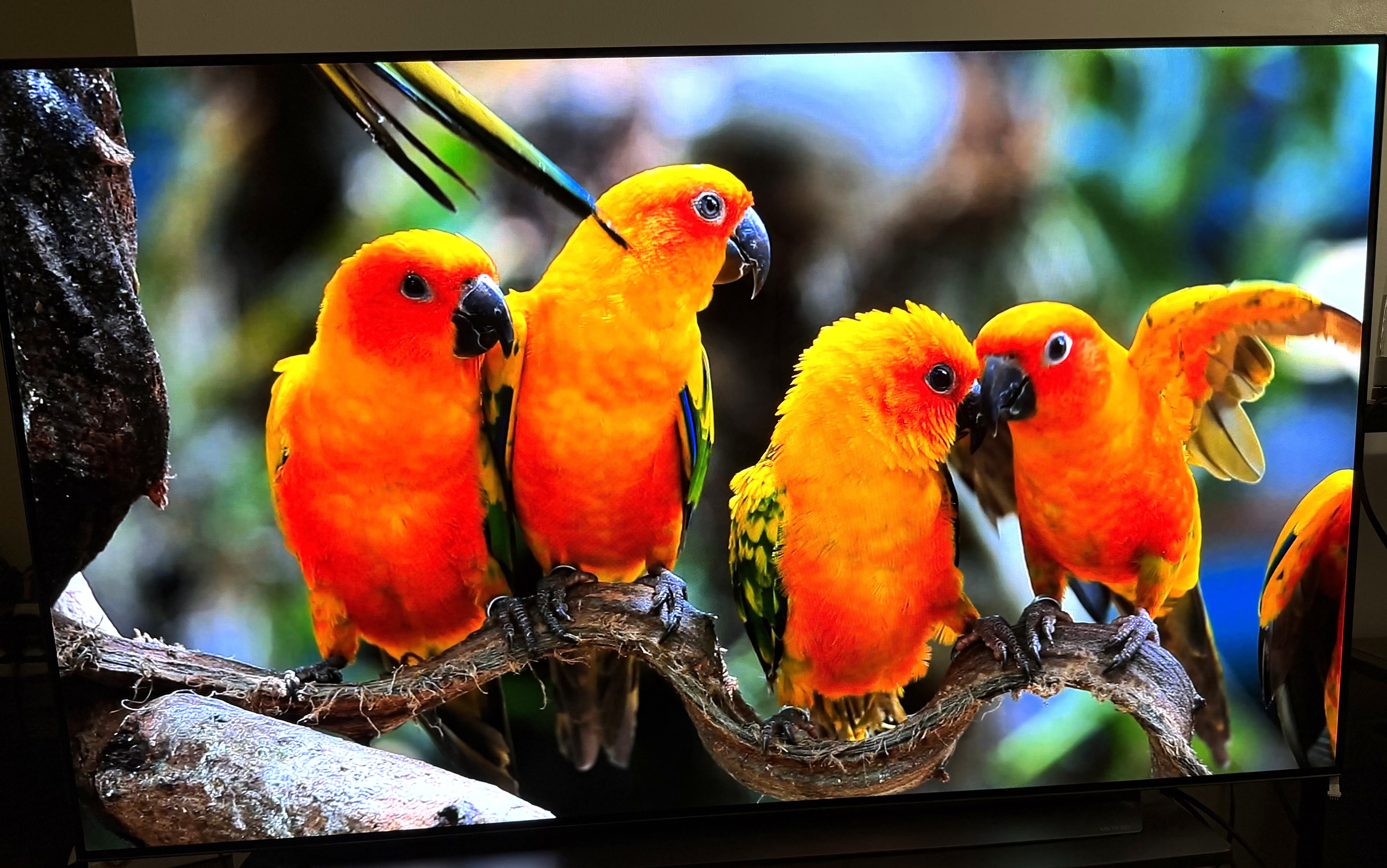 LG OLED TV(C Series)- 65 inch - photo 3