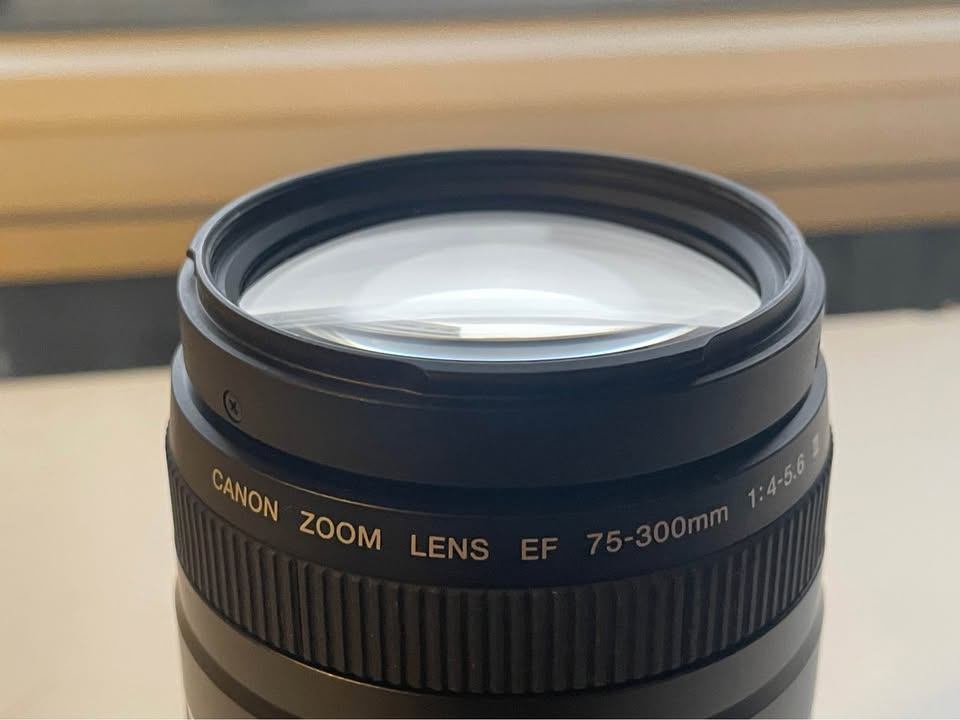 Canon EF 75-300mm f/4-5.6 III Lens - photo 4