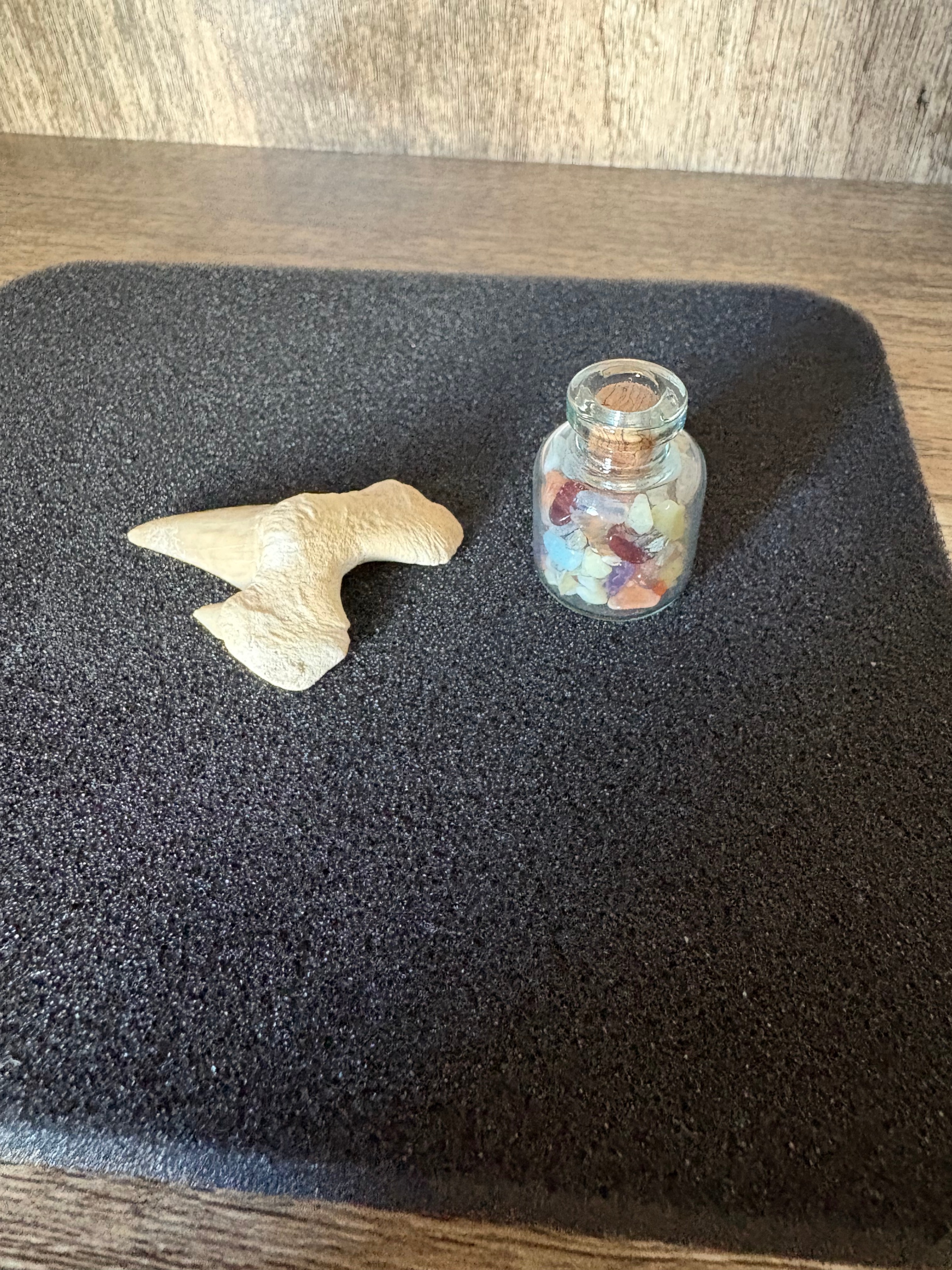 Fossil Shark Tooth and Small Gemstone Bottle - photo 3