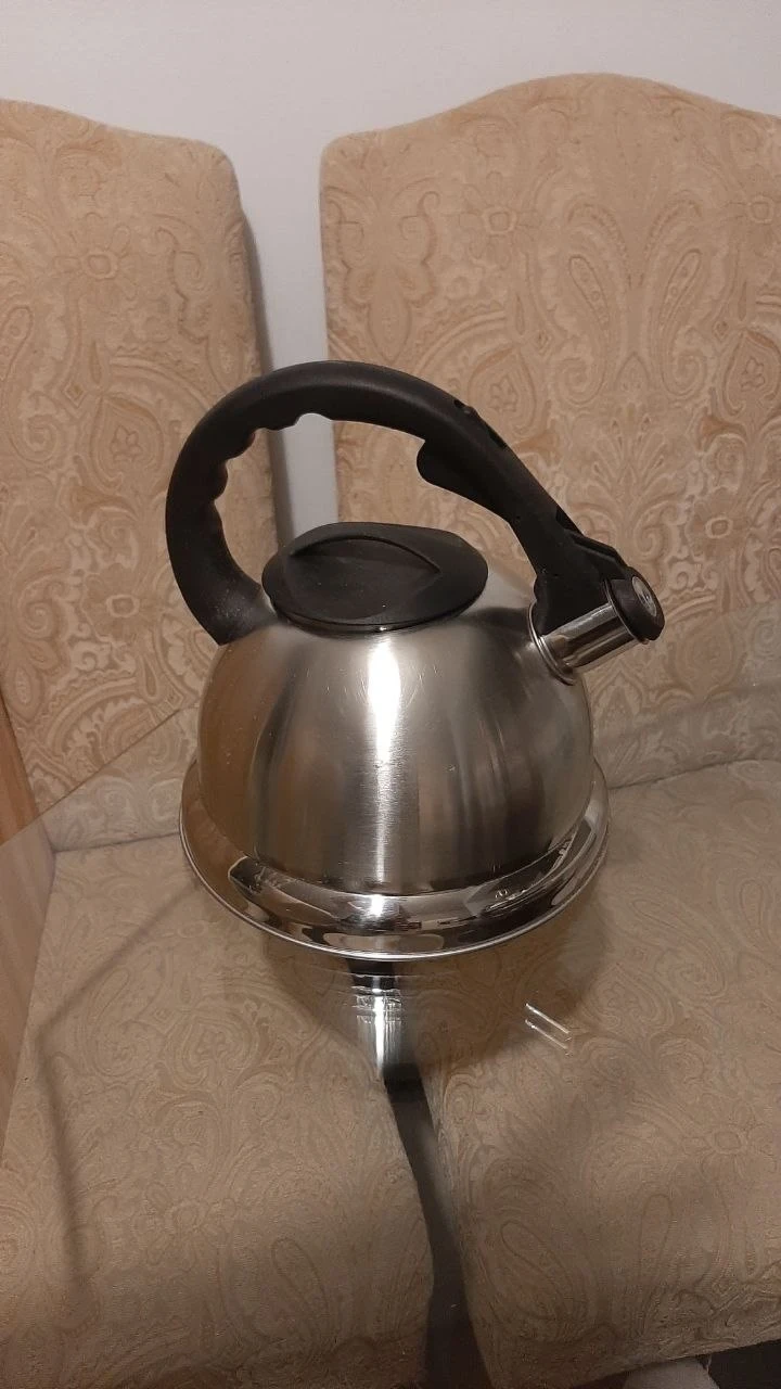 Primula Stainless Steel Stovetop Kettle