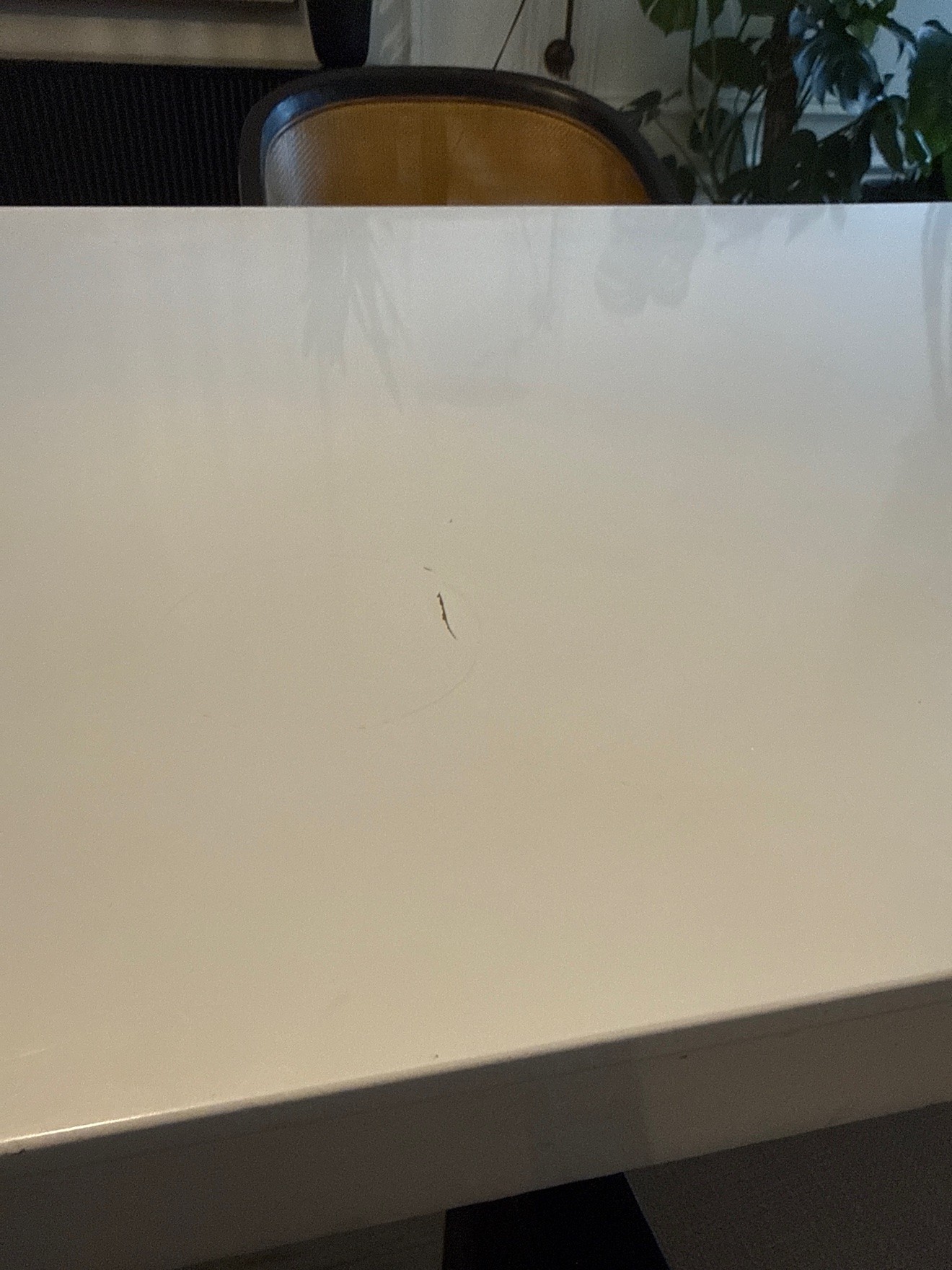 CB2 white lacquer dining table, seats 8 — table only - photo 5