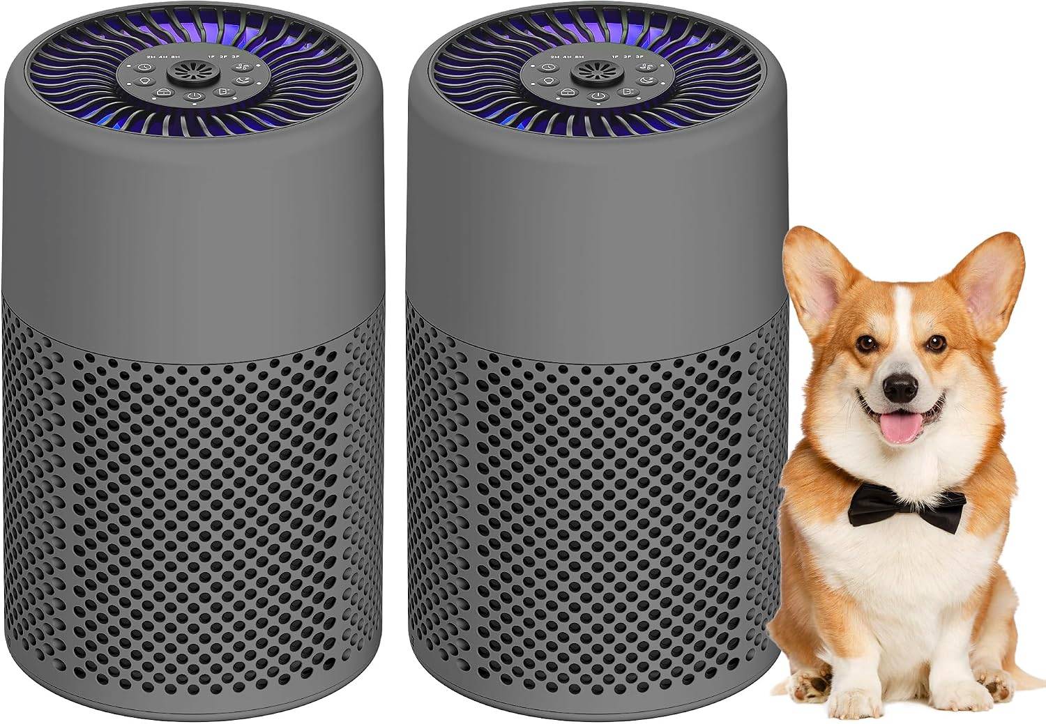 Air Purifiers for Bedroom, True HEPA, 2 Pack - photo 2