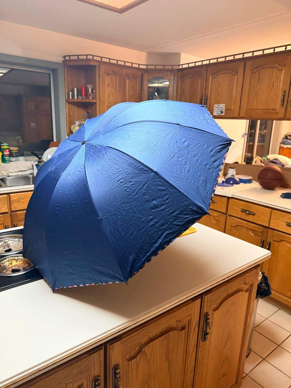 Blue Folding Umbrella