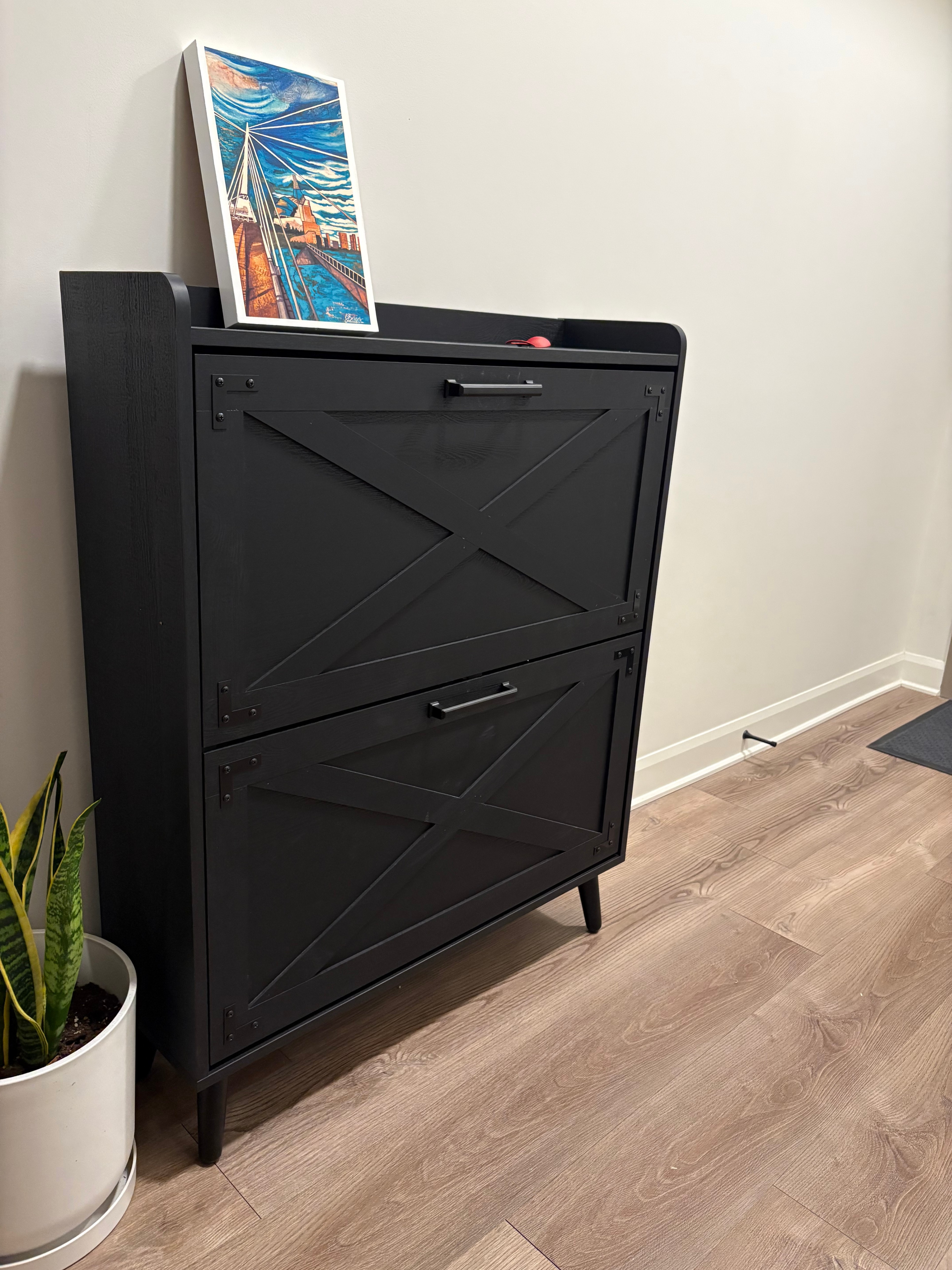 Farmhouse Shoe Storage Cabinet – Black, 2 Drawers