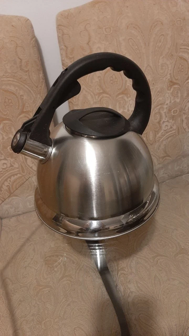 Primula Stainless Steel Stovetop Kettle - photo 4