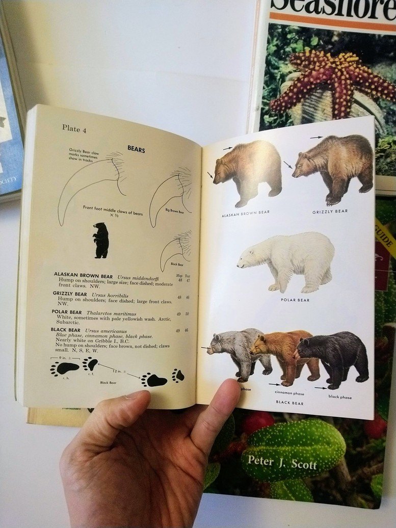Nature Field Guides! - photo 3