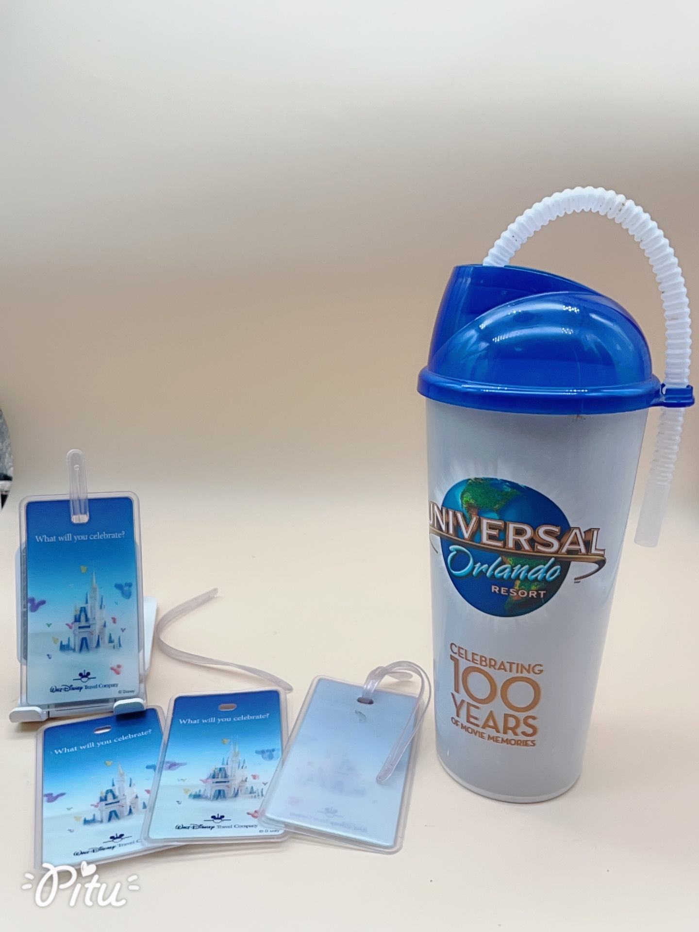Theme Park Bundle $8-Universal Orlando Cup+4 Disney Luggage Tags