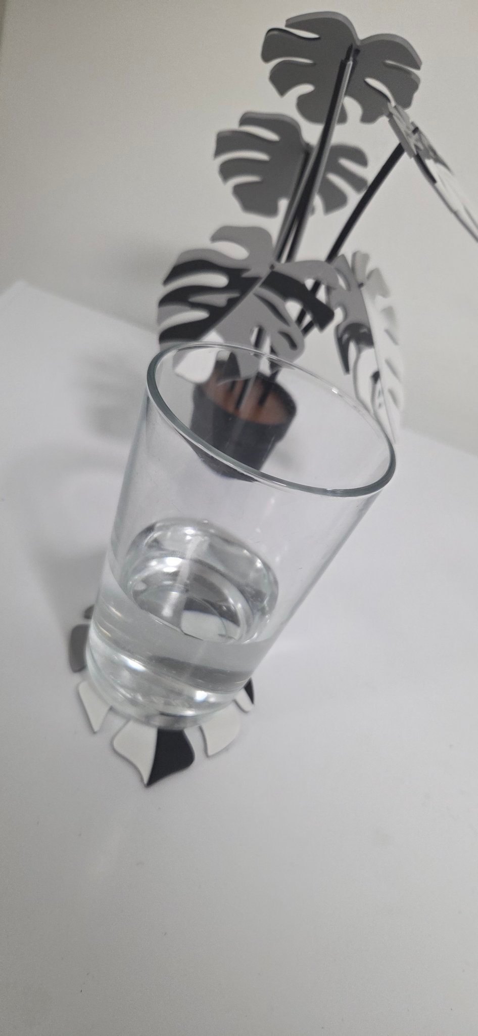 Monstera Coaster Set - 3D Printed Plant (6 Coasters) - photo 4