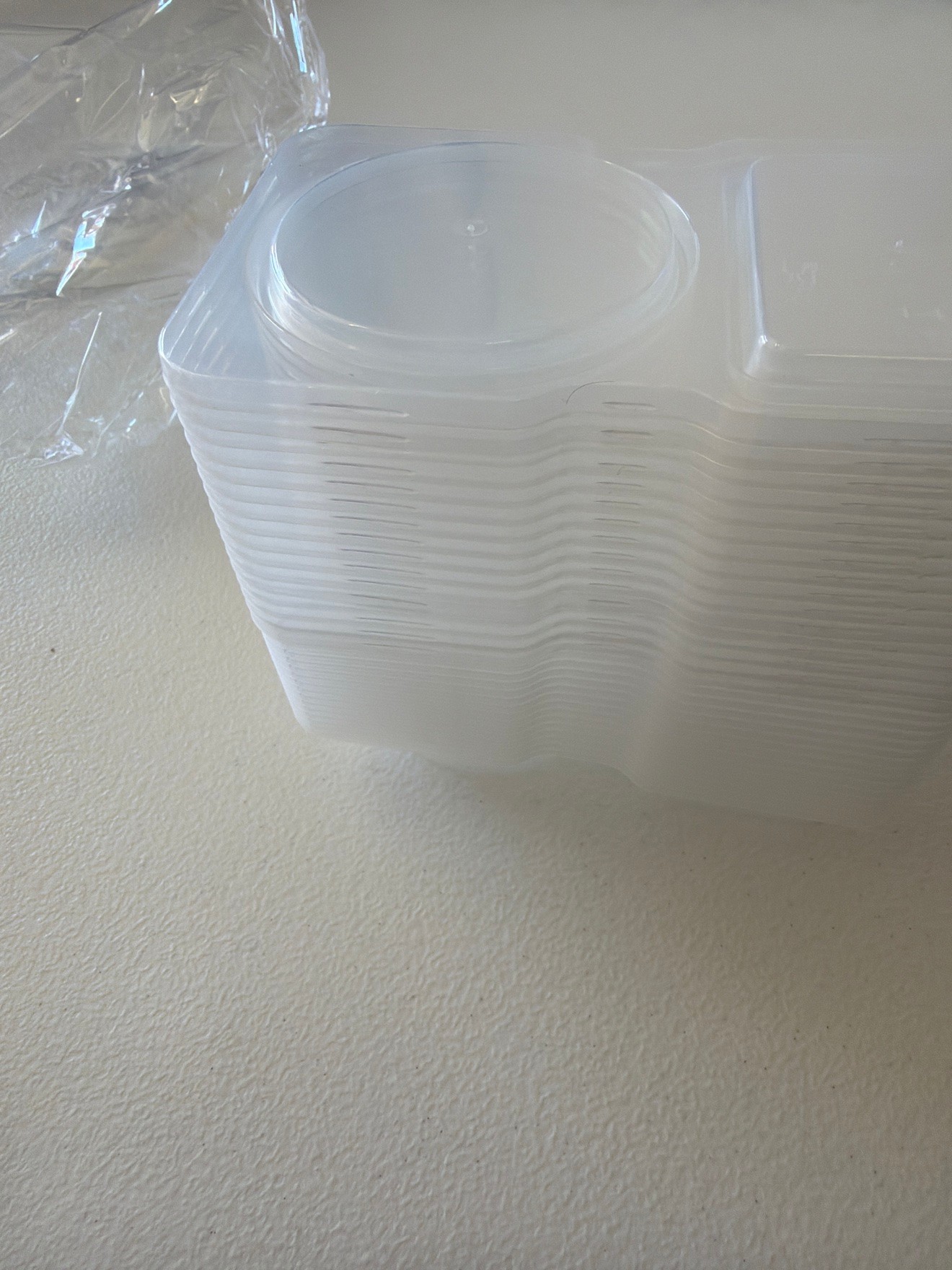Double Compartment Condiment Containers with Lids (10 Available)