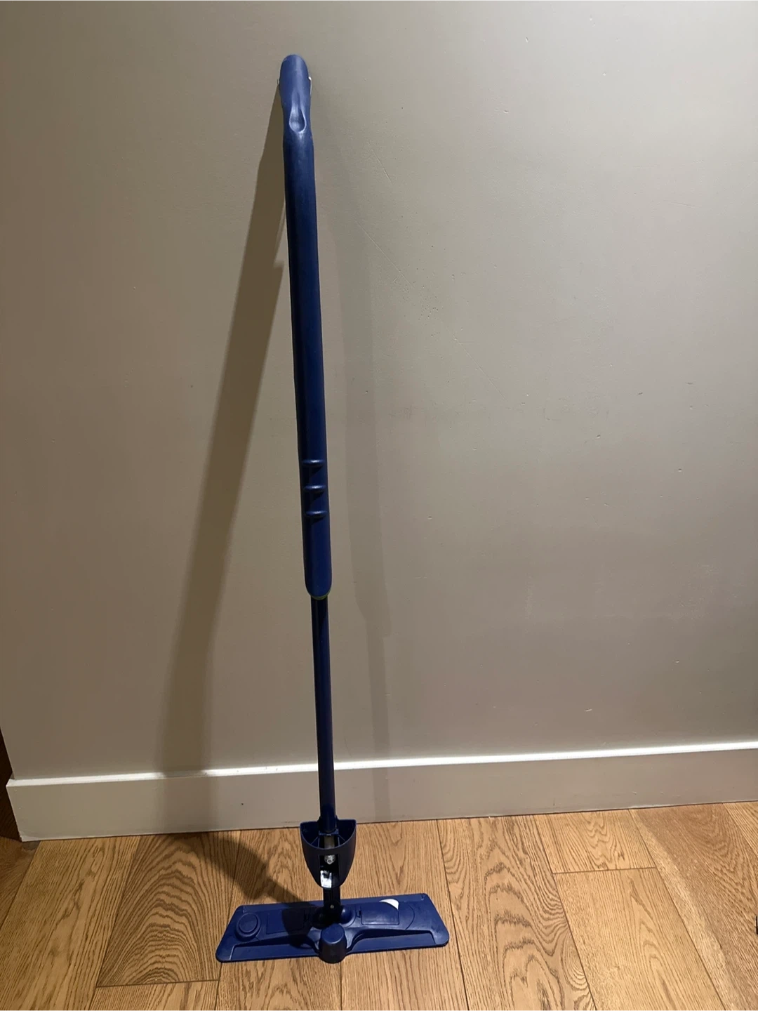 Blue Spray Mop