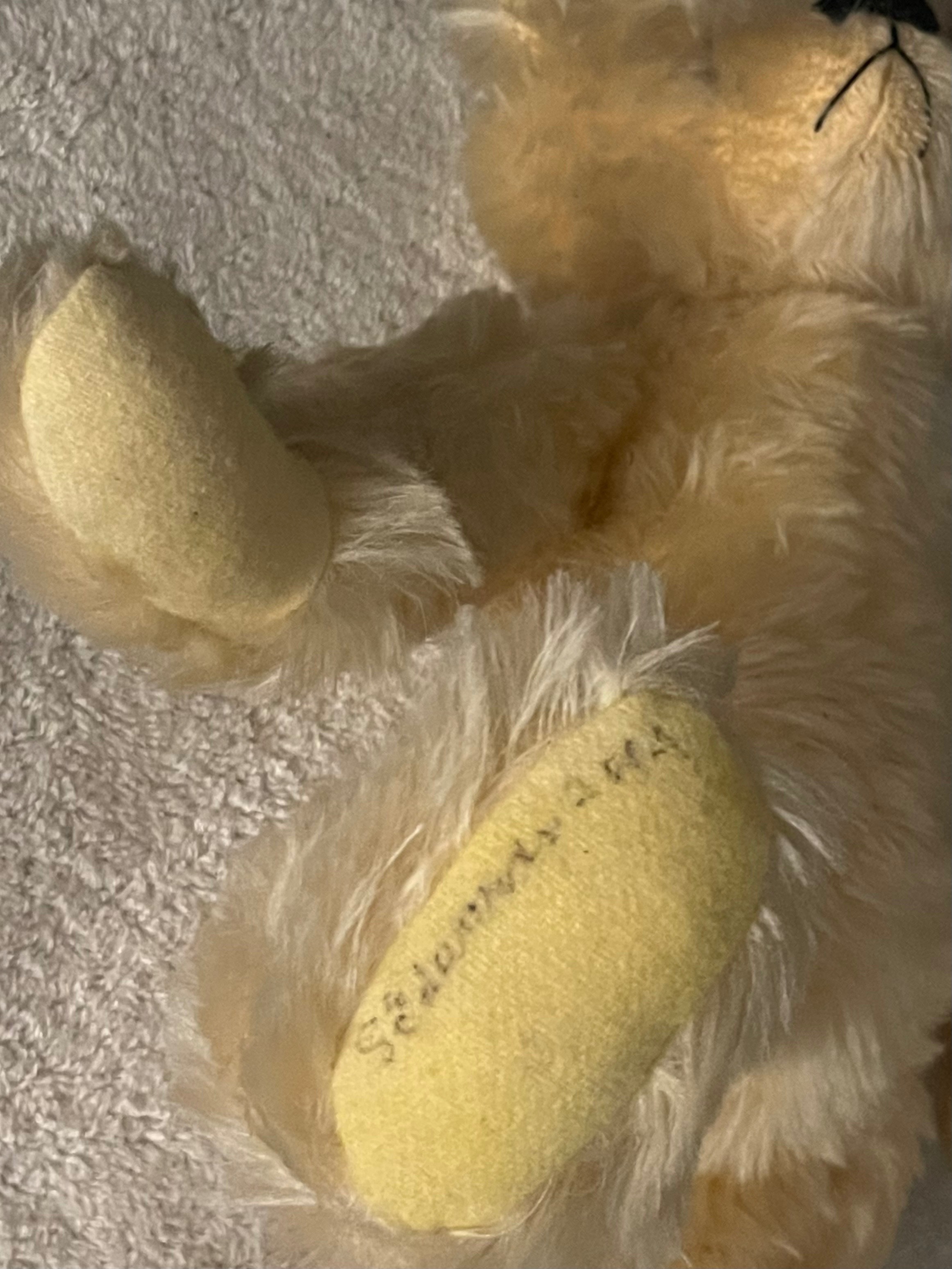 Vintage Signed Artist Teddy Bear by S. Edwards - 15" - photo 5