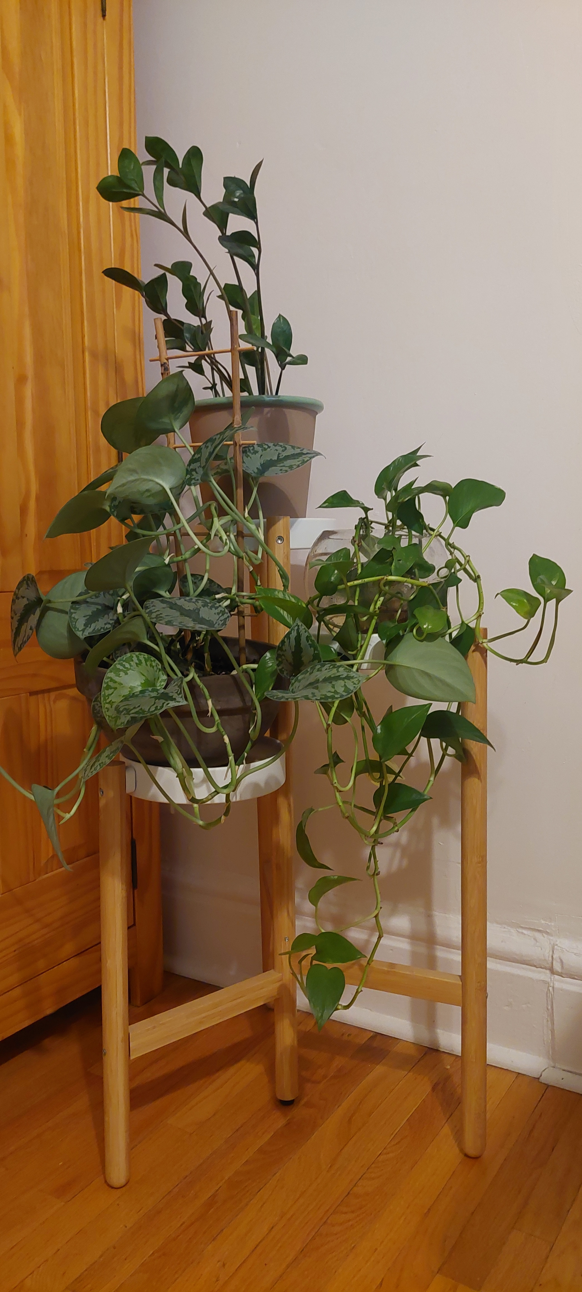 IKEA SATSUMAS 3-Tier Bamboo Plant Stand - photo 4