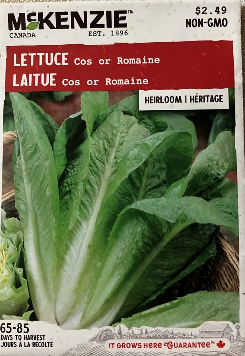 Lettuce Cos or Romaine Seeds