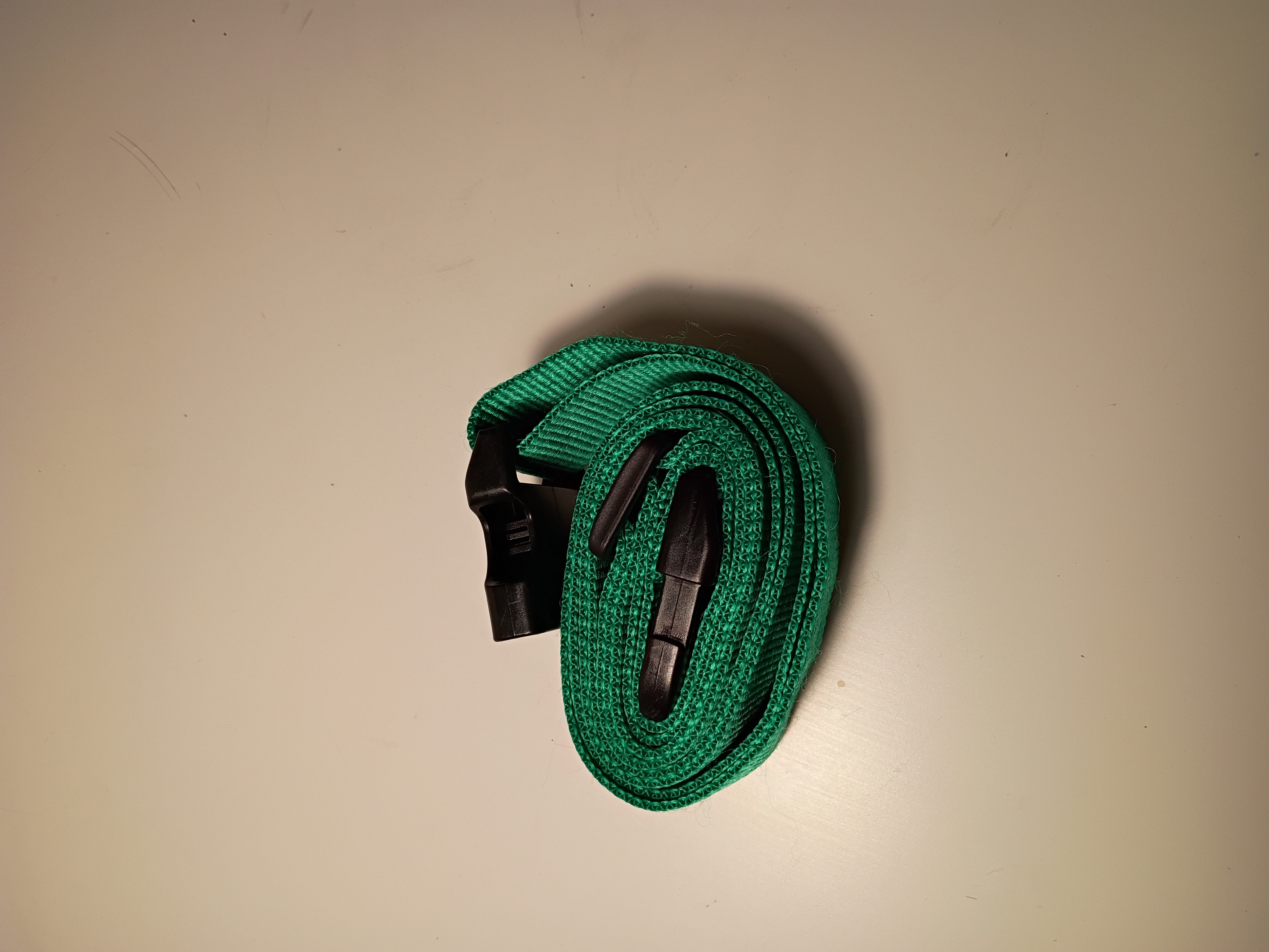 luggage belt