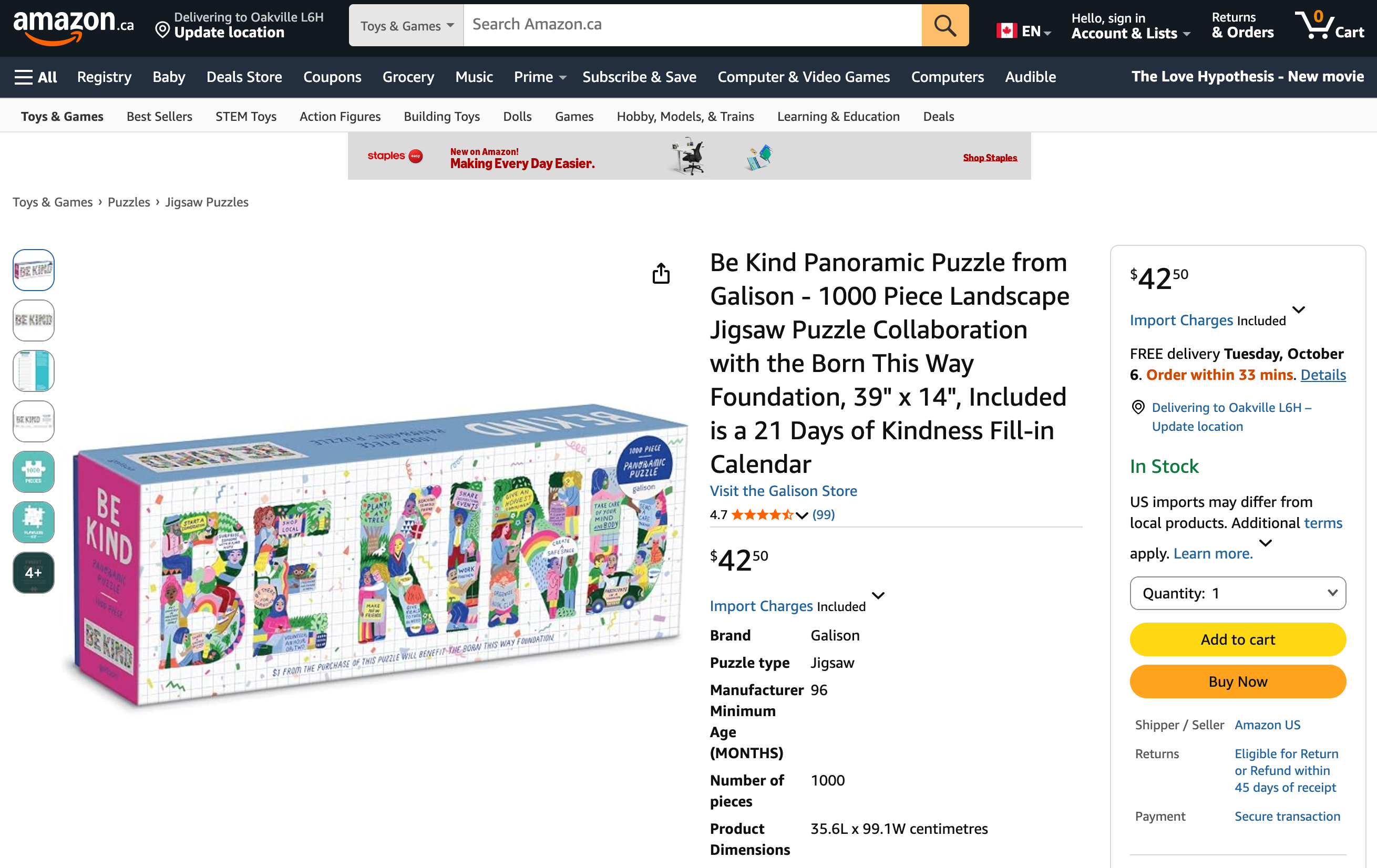 Be Kind 1000 Piece Panoramic Puzzle by Galison (Gently used) - photo 4