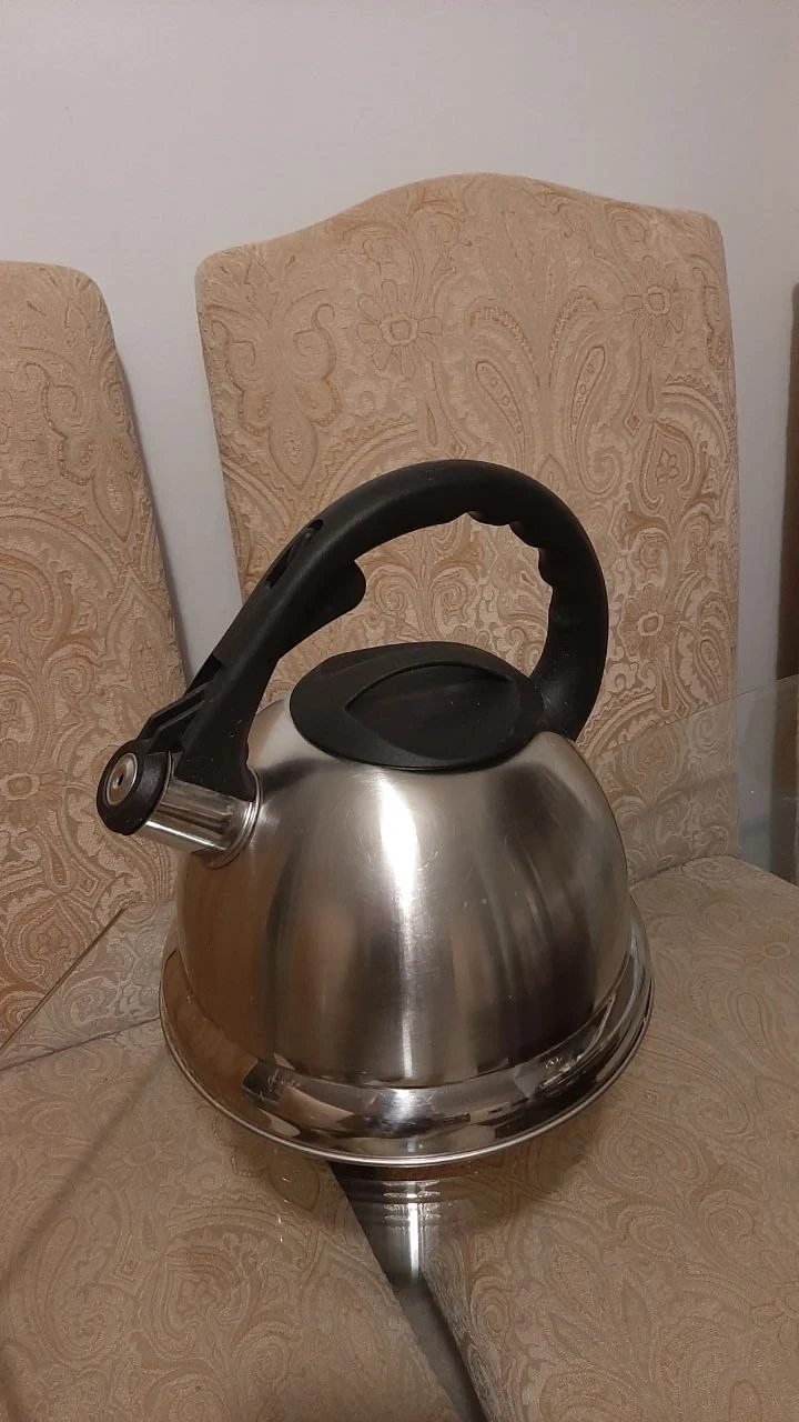Primula Stainless Steel Stovetop Kettle - photo 5