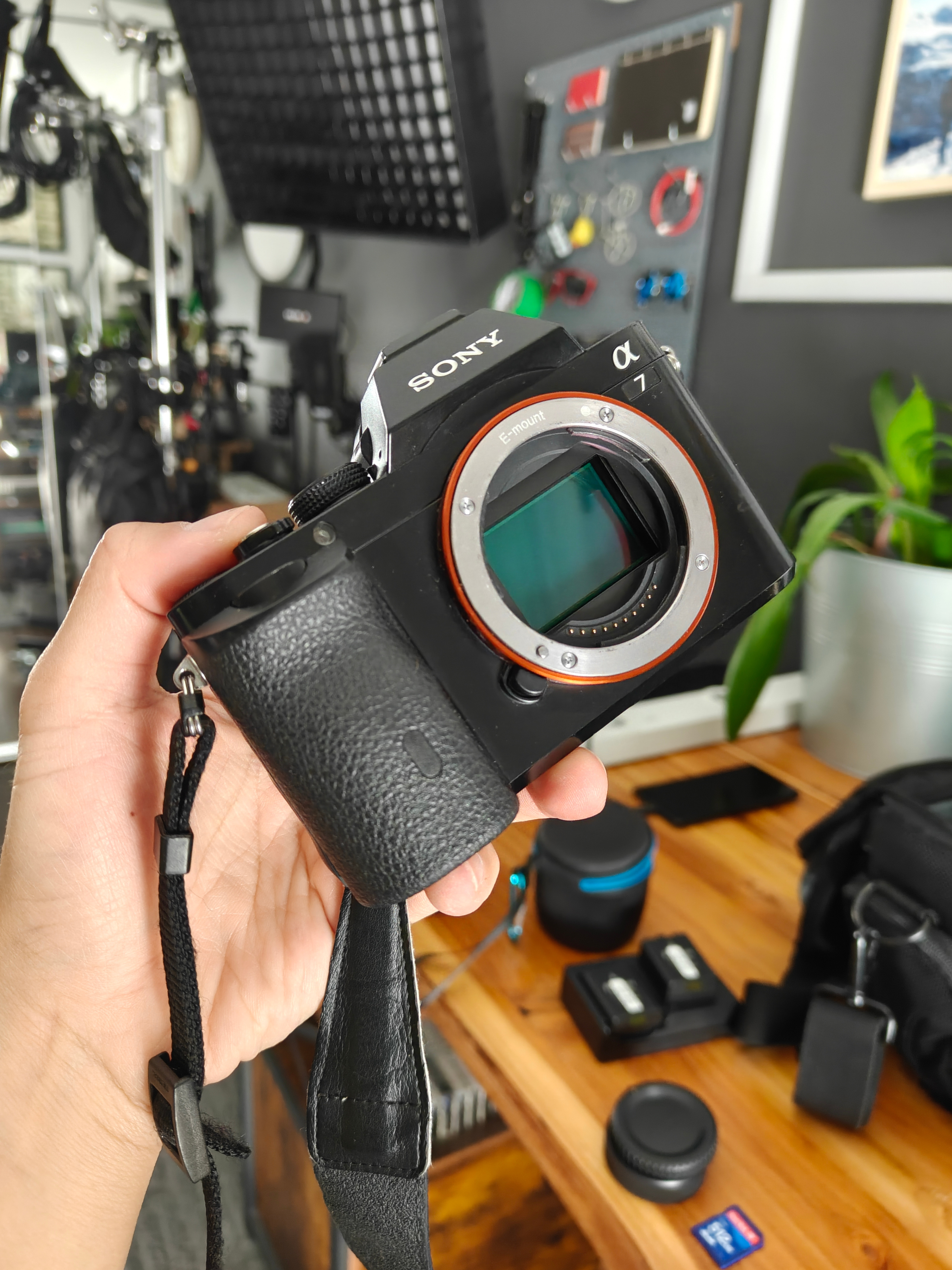 Sony A7 Mirrorless Camera with 16-35 F4 Lens - photo 2
