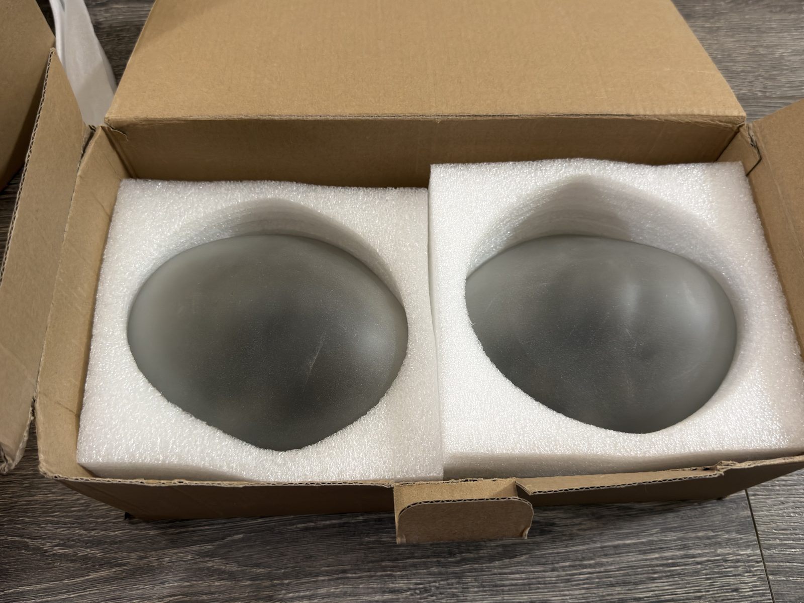 Ceiling LED Light (set of 2)
