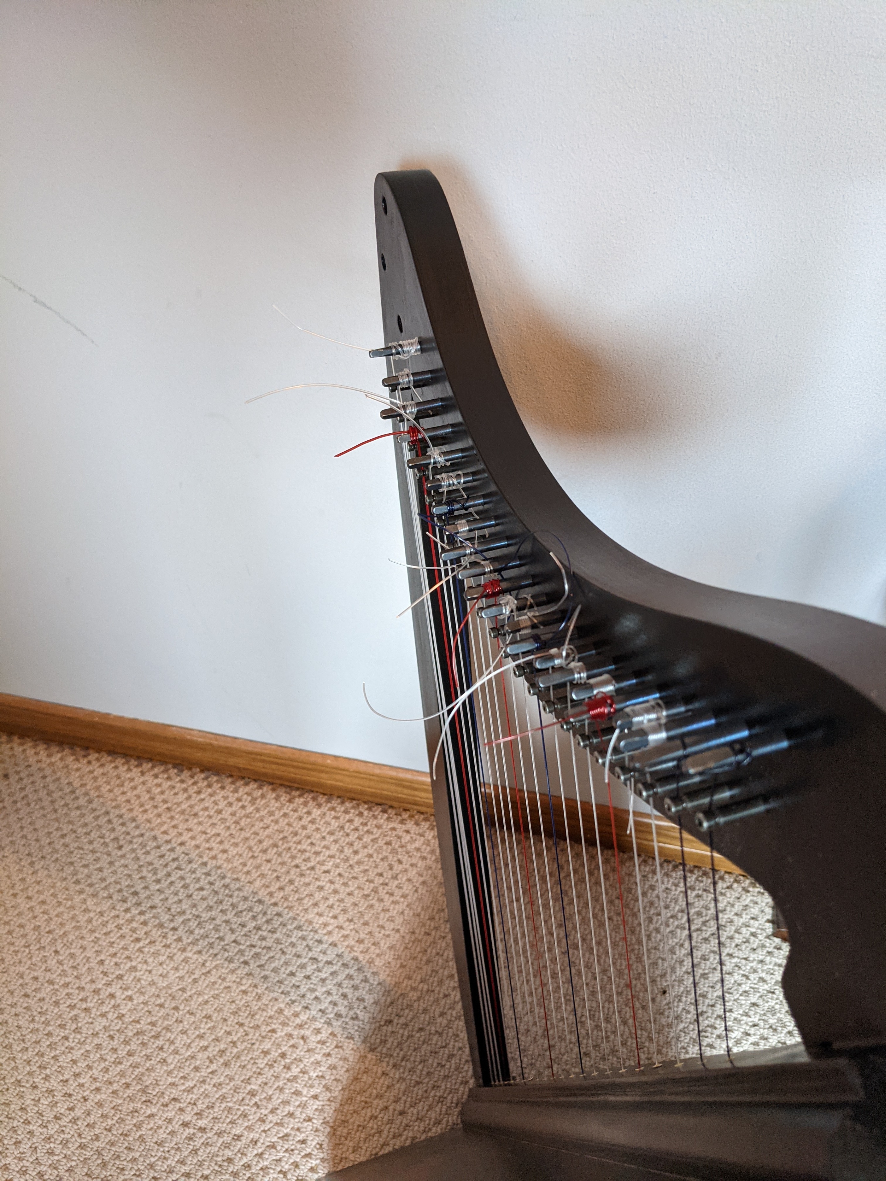 22 String Harp - photo 2