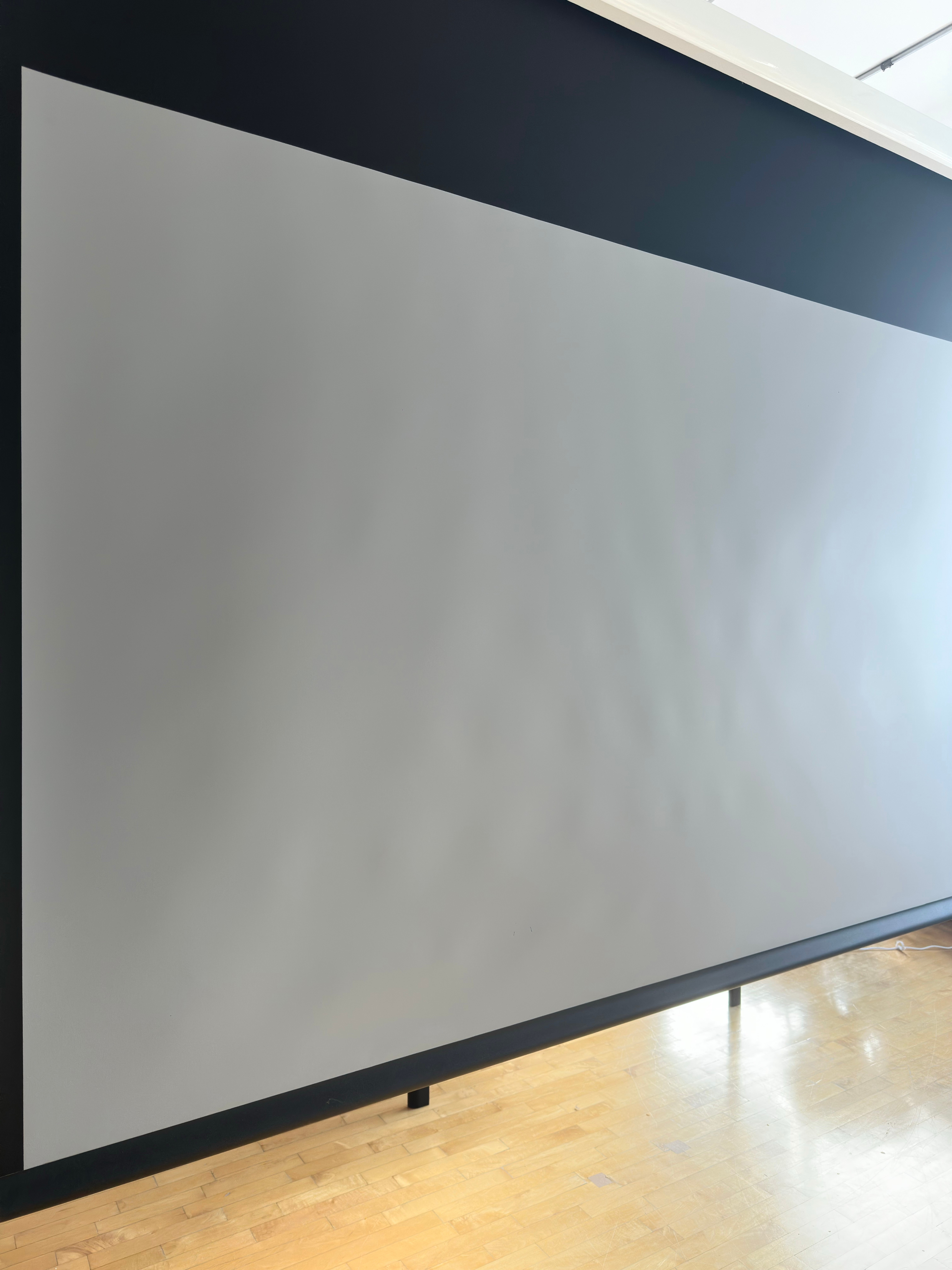 EluneVision Luna 106" 16:9 Motorized Projector Screen - Grey - photo 3