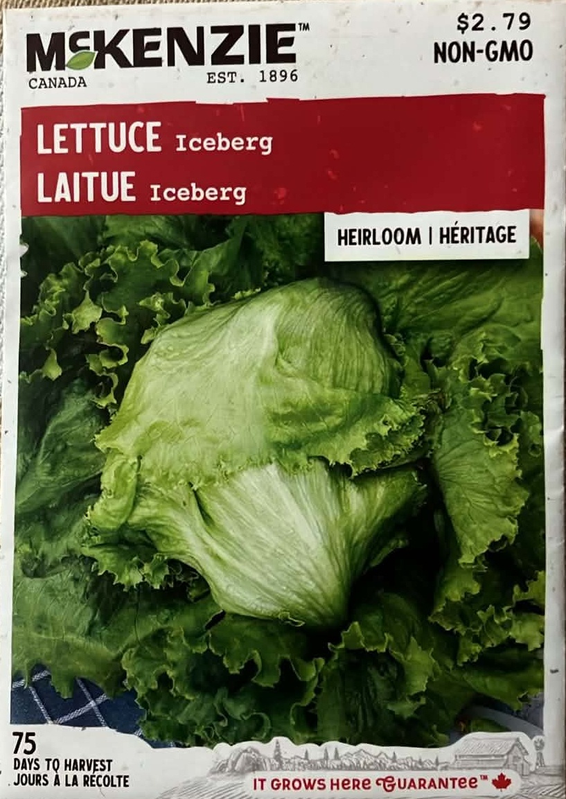 Lettuce Iceberg Seeds