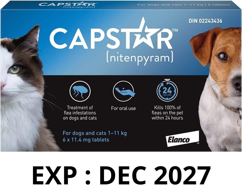 Capstar Flea Treatment Small Dogs & Cats 1–11kg – 6 Pack
