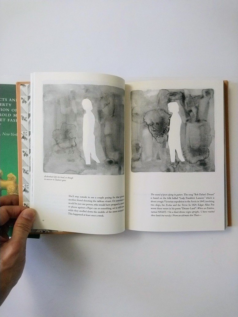 Leanne Shapton books! - photo 3