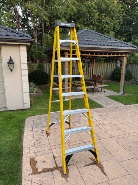 8 ft Step Ladder