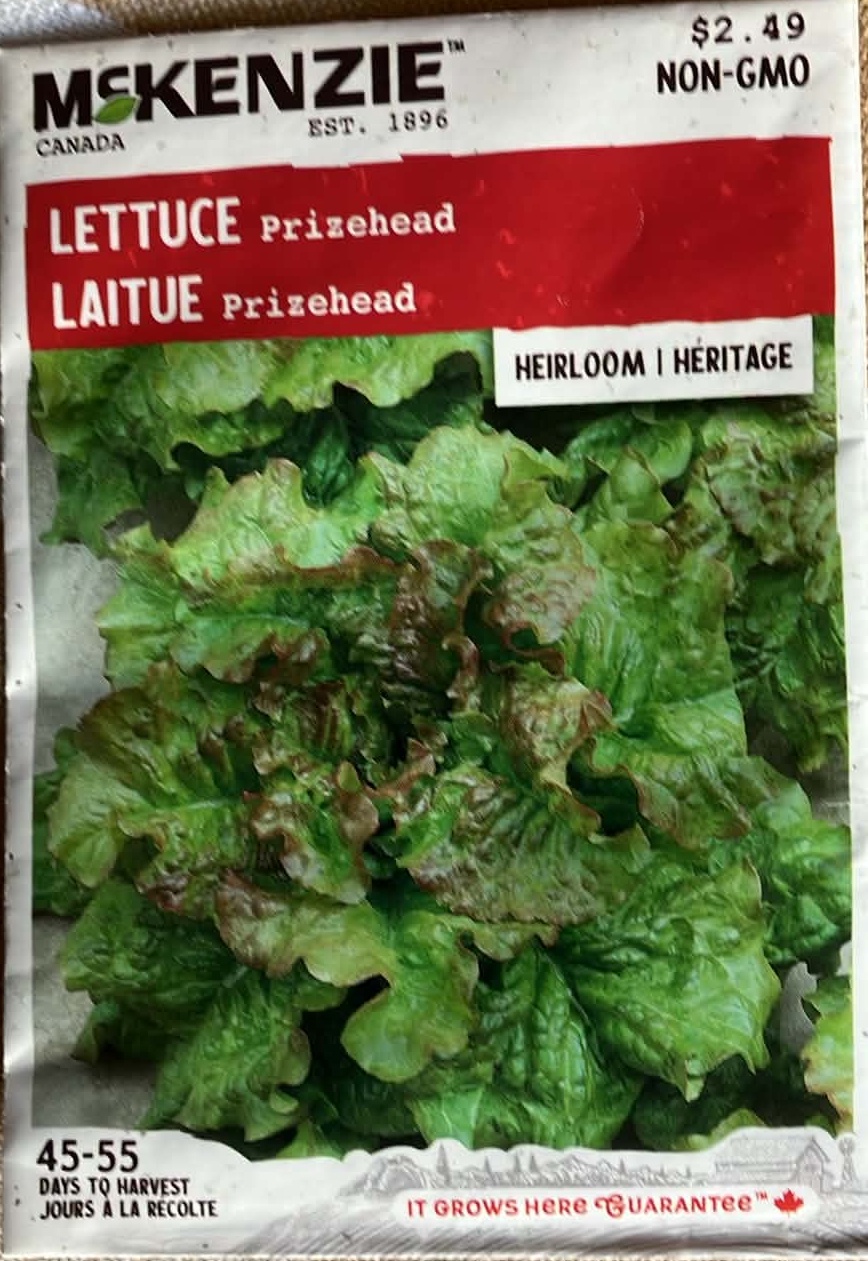 Lettuce Prizehead Seeds
