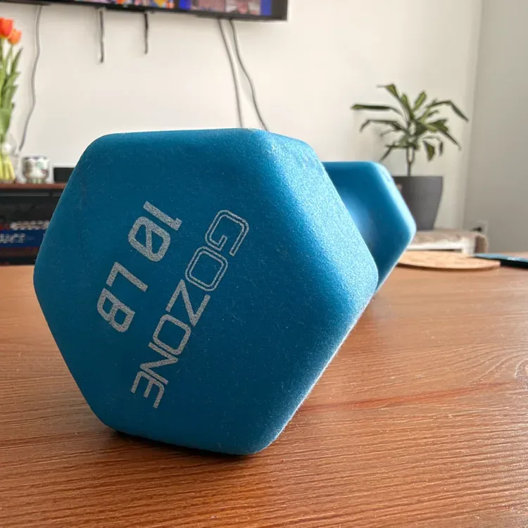 GOZONE 10 lb Neoprene Dumbbell — Blue