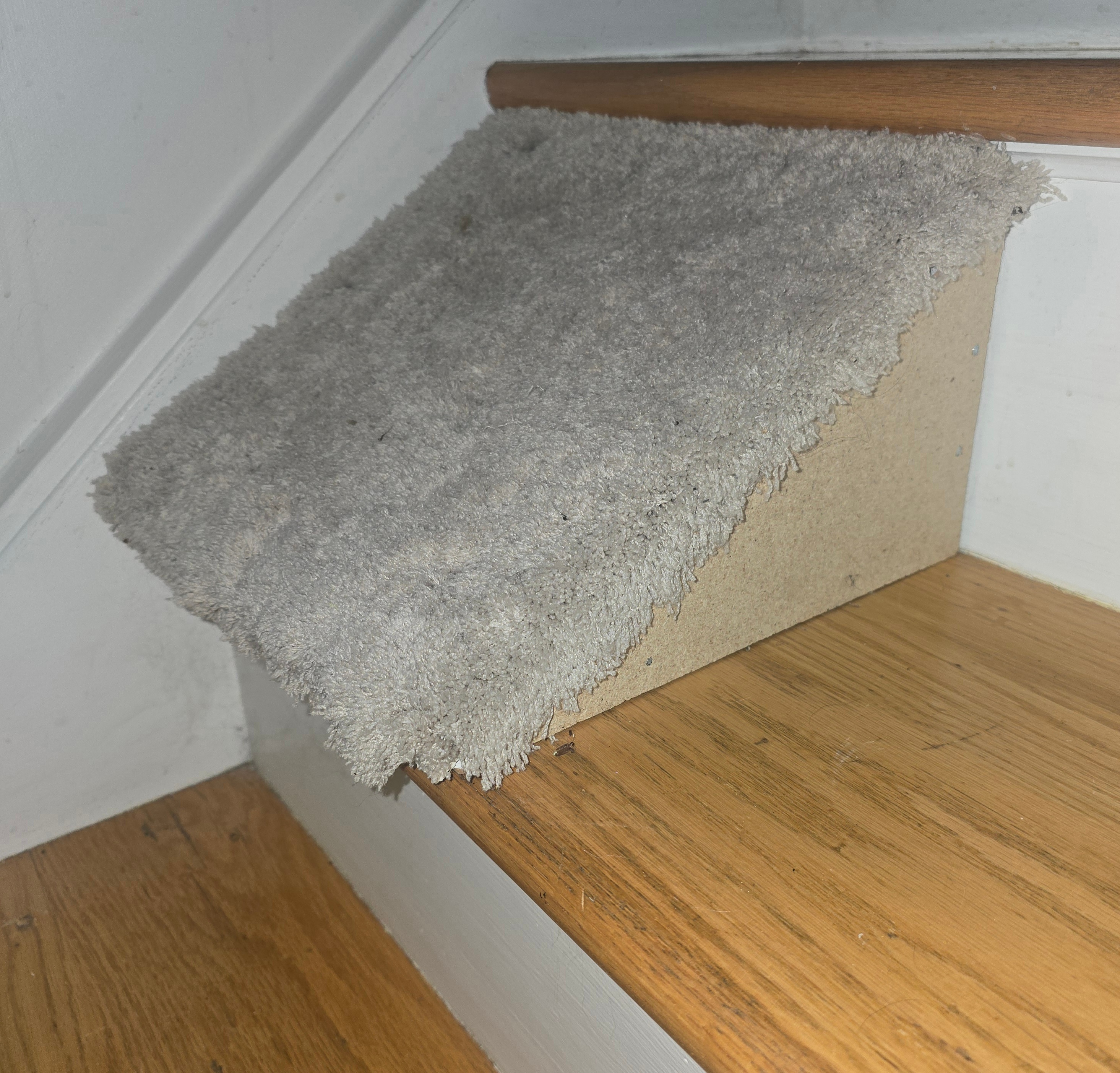 Individual Stair Ramps for Small/Older Dogs, Buy 1 or up to 11 - photo 2