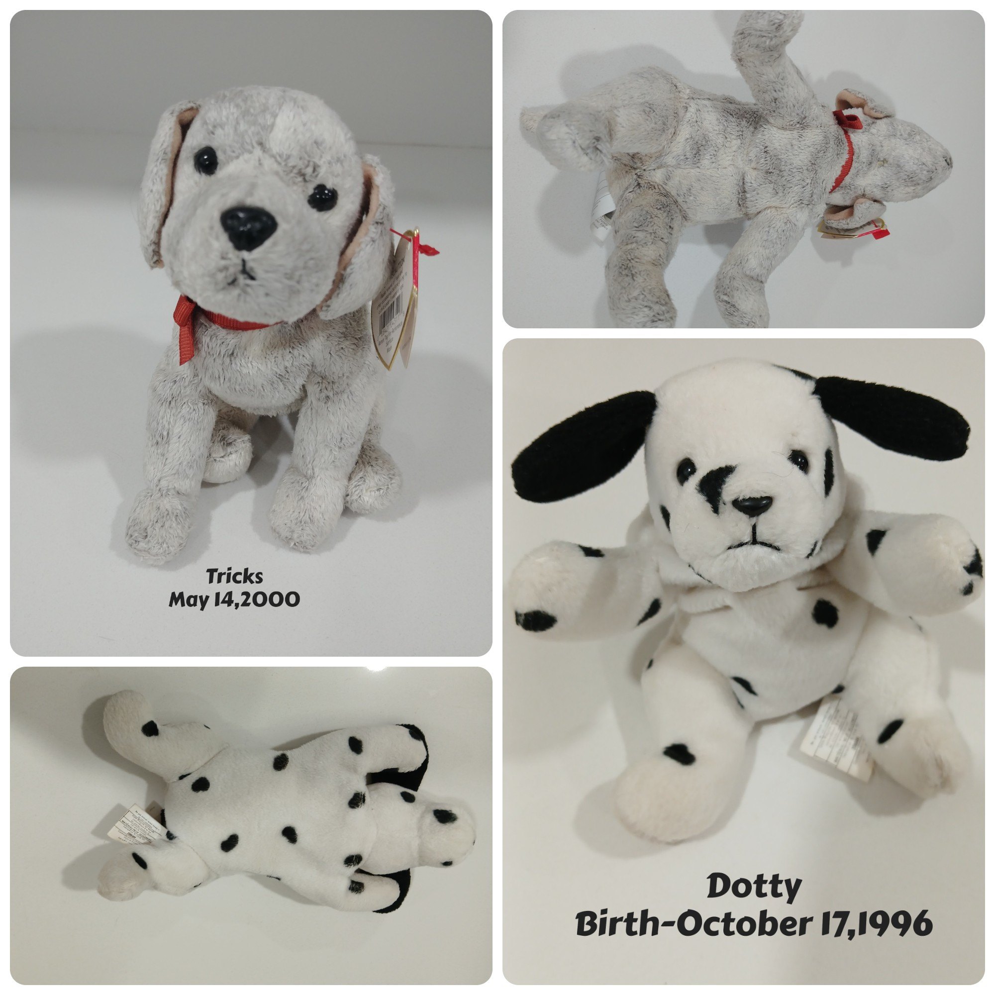 Ty Tricks & Dotty Beany Babies With Birth Tags ,$10 each