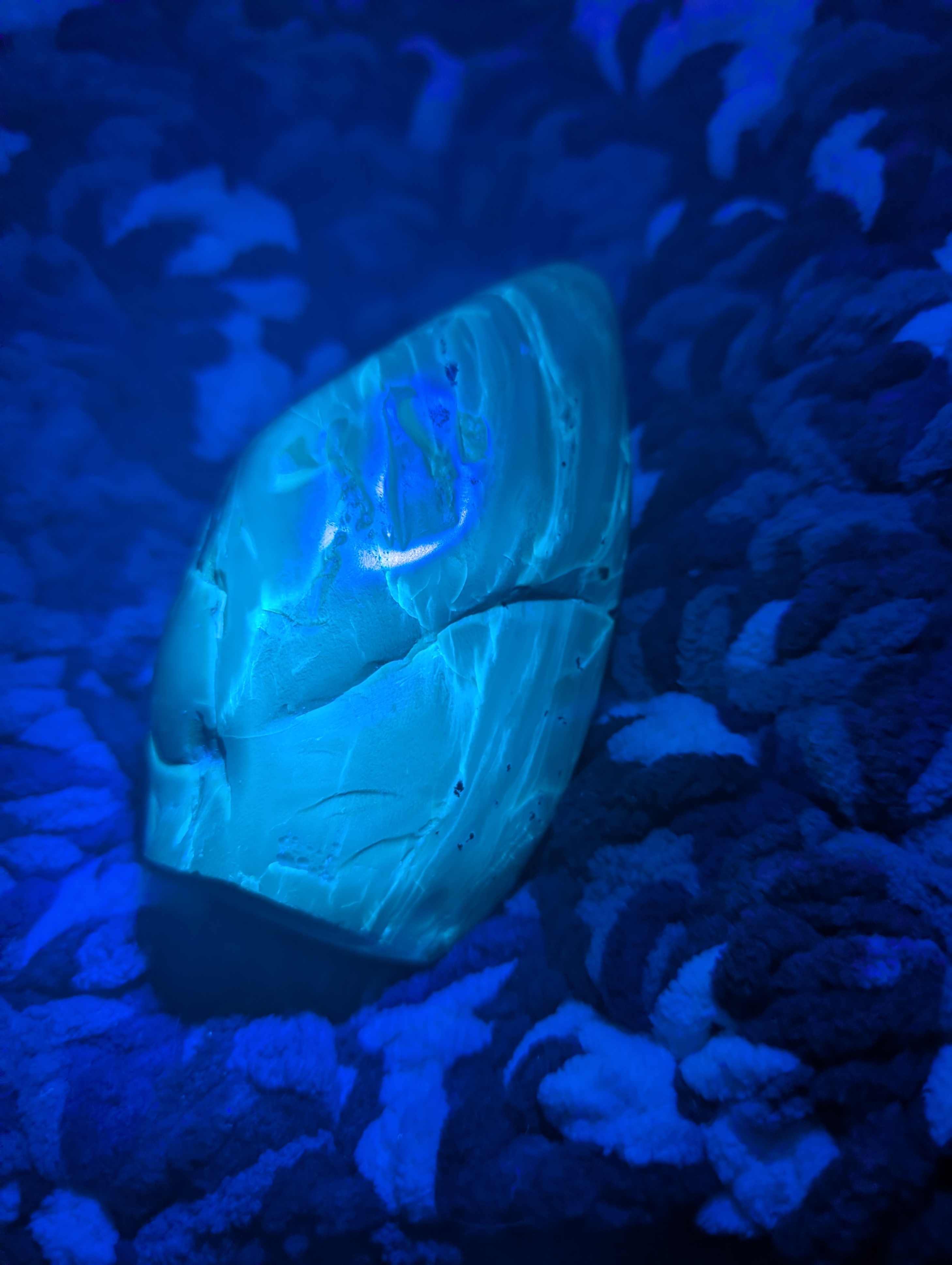 222g Indonesian Blue Amber - photo 3