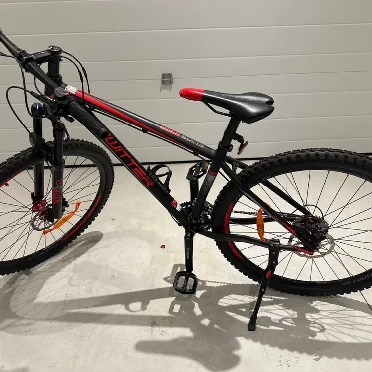 Customized Twitter Elvis 29er Mountain Bike for Men