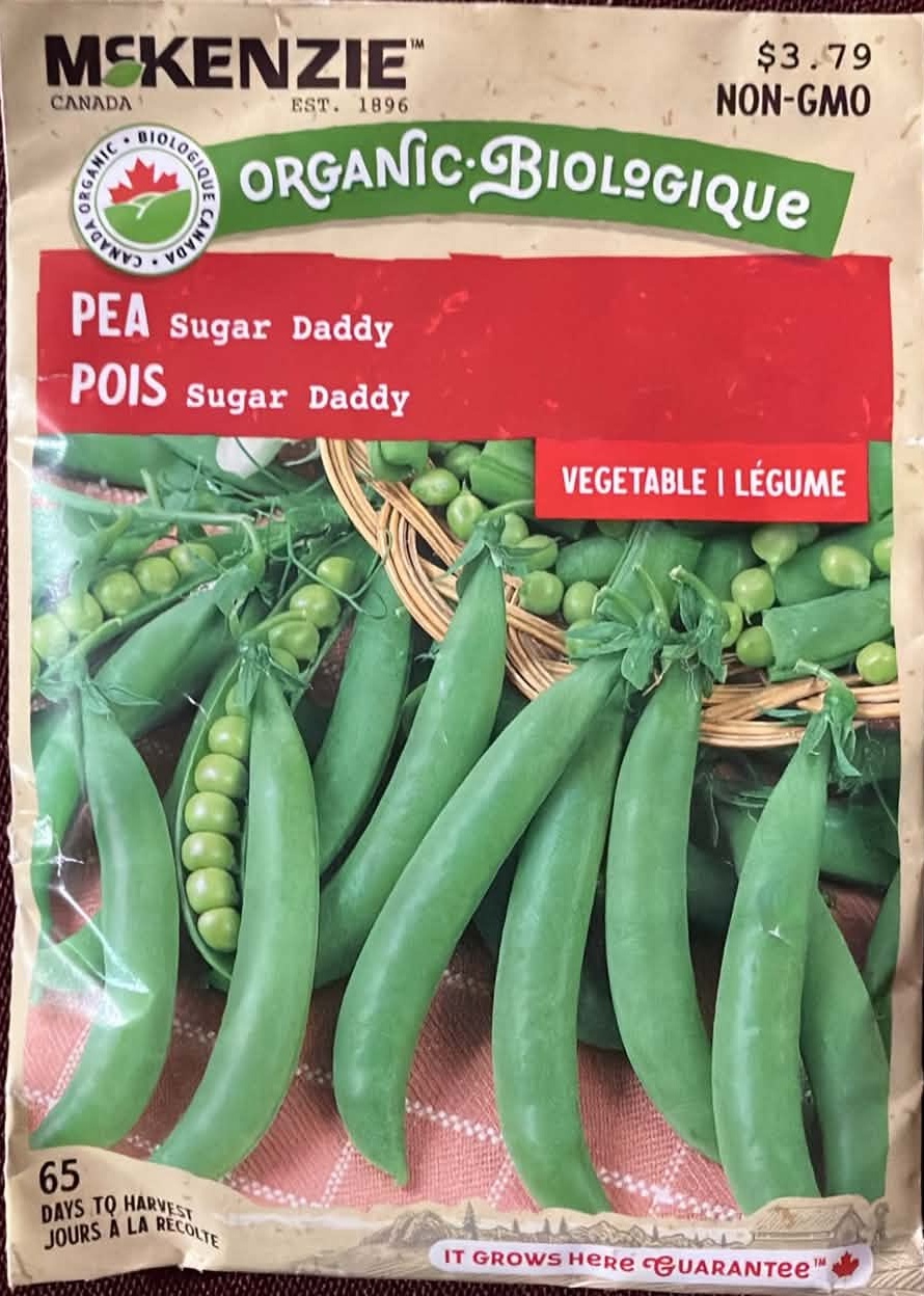 Pea Sugar Daddy Seeds