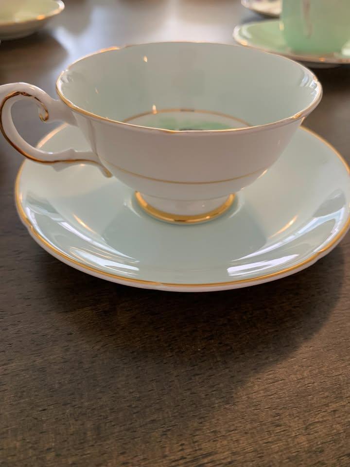 Royal Grafton Northlander Tea Cup and Saucer - photo 2