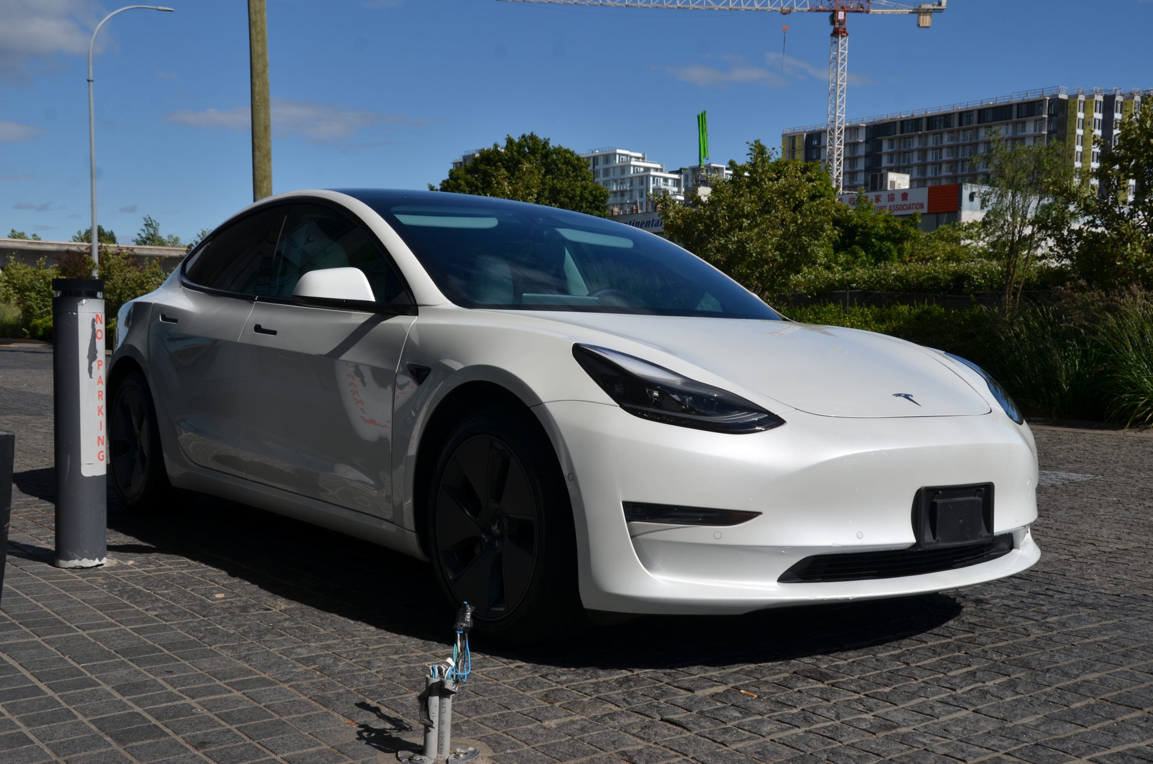 Beautiful 2021 Tesla Model 3 Standard Range Plus RWD - photo 2