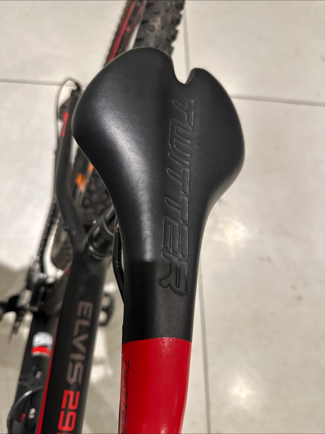 Customized Twitter Elvis 29er Mountain Bike for Men - photo 4