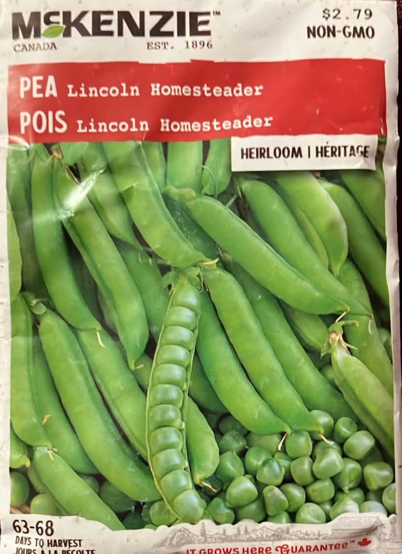 Pea Lincoln Homesteader Seeds