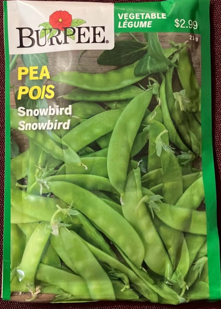 Pea Snowbird Seeds