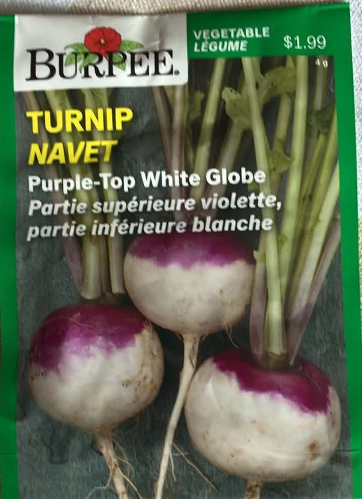 Turnip Purple Top White Globe Seeds