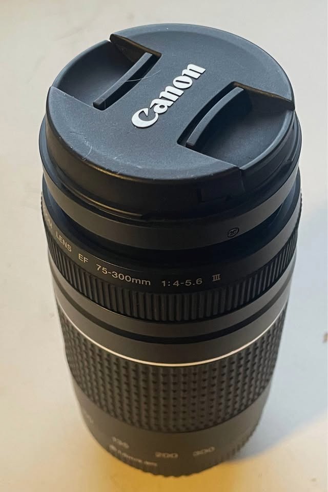 Canon EF 75-300mm f/4-5.6 III Lens - photo 2