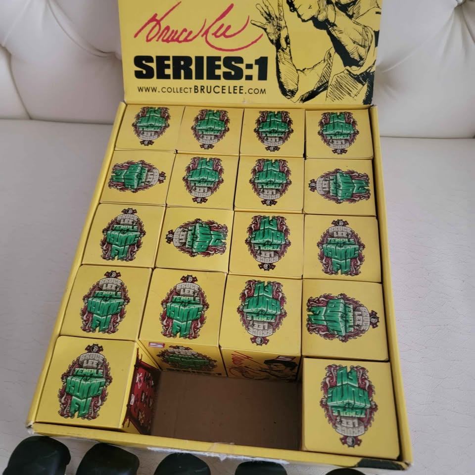 23 Bruce Lee's Temple of Kung Fu Series 1 mystery vinyl - photo 4