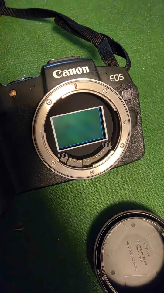 Canon EOS RP Full-Frame Kit + RF 24-105, EF 50mm, EF-RF Adapter - photo 2
