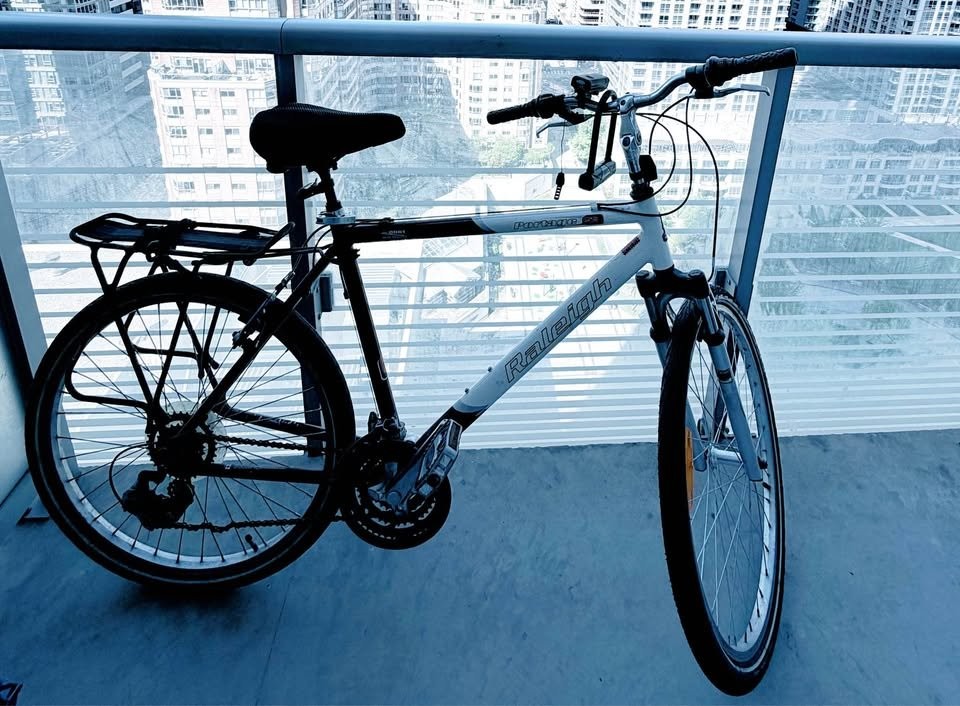 Raleigh Portage Hybrid Bike — Pristine Condition - photo 2