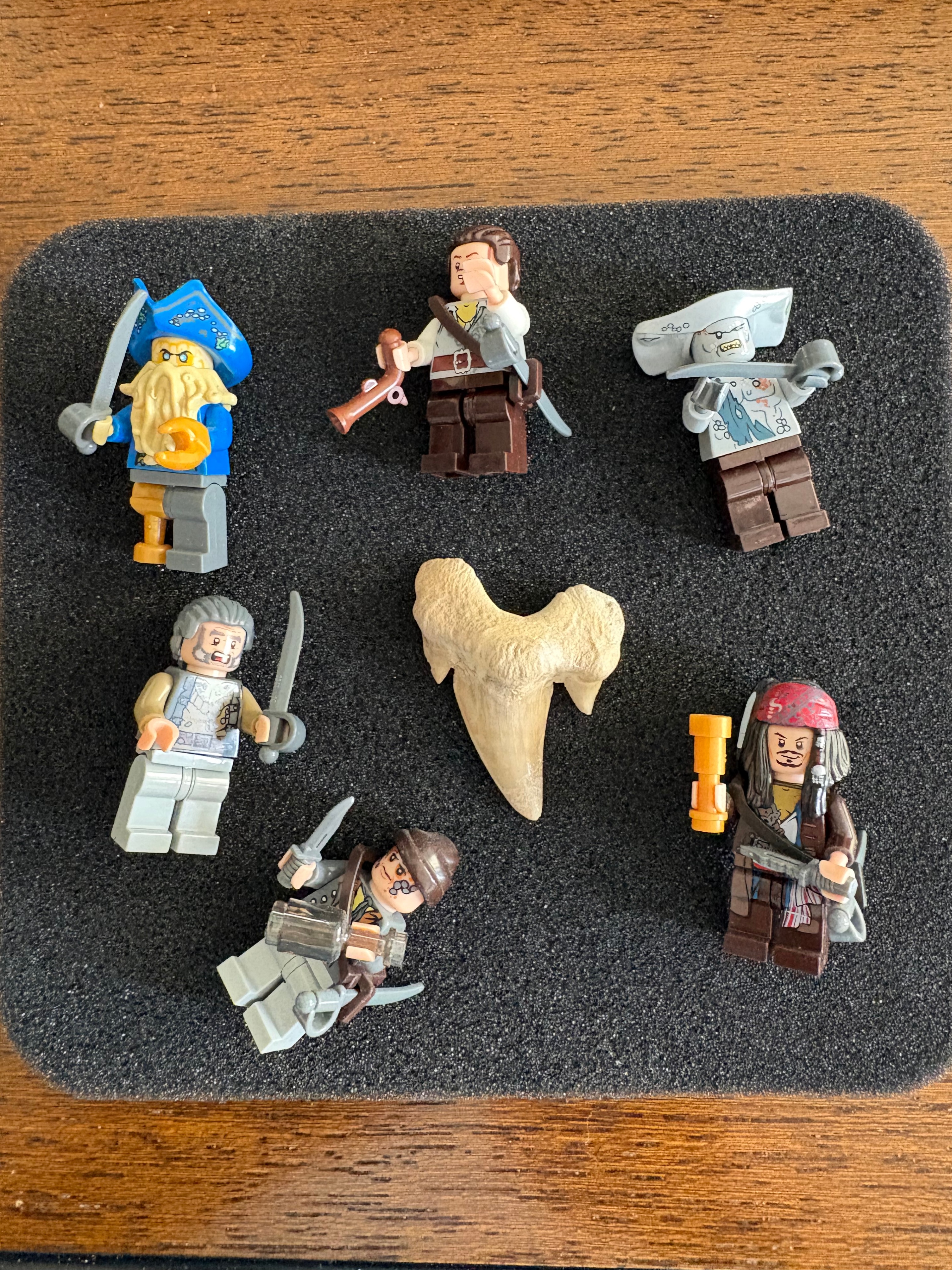 Assorted Collectibles Bundle Lego & Shark Tooth