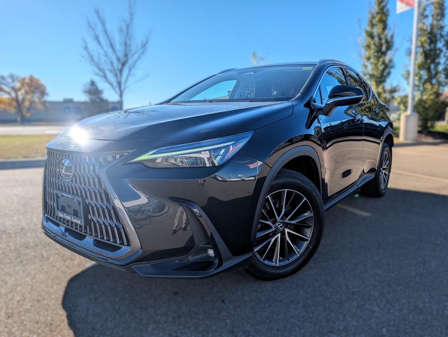 2023 Lexus NX 250 - photo 2