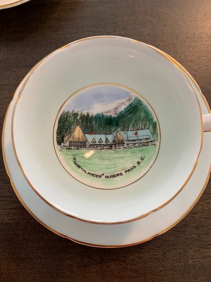 Royal Grafton Northlander Tea Cup and Saucer