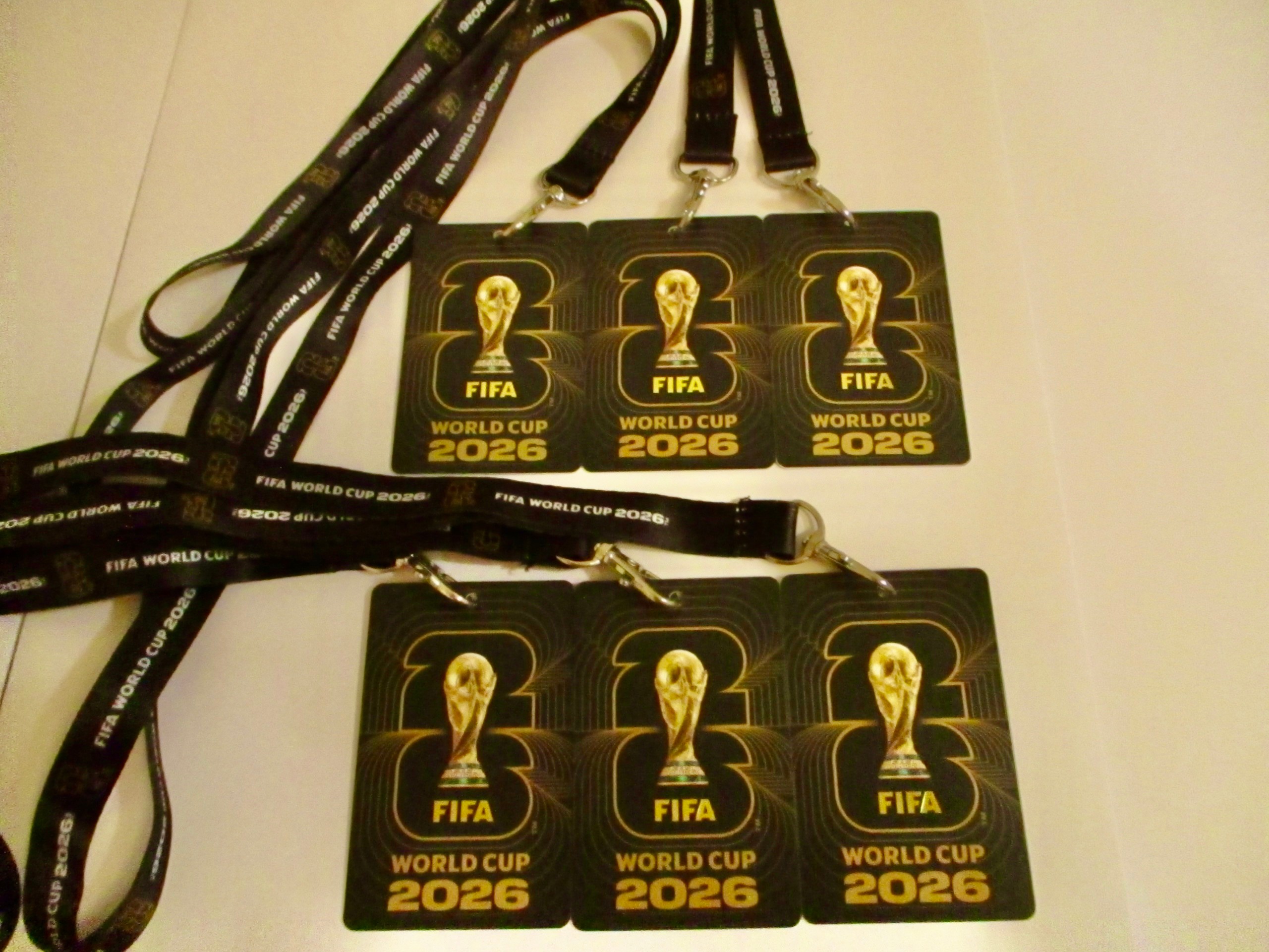 *6* x FIFA Fan Cards & Lanyards ( Set of 6 ) - photo 4