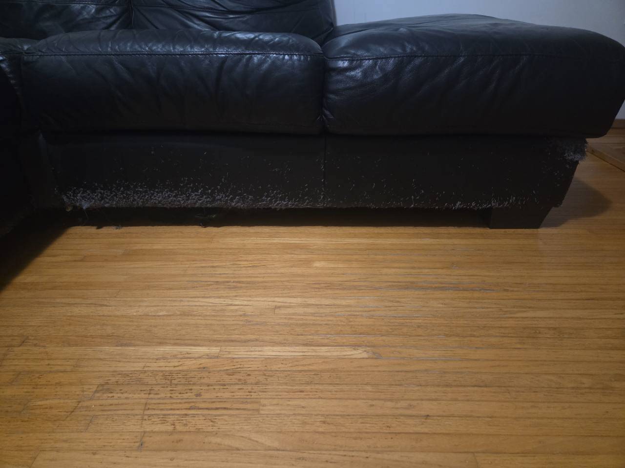 Black L-Shaped Sectional with Chaise – Cat Scratches - photo 3